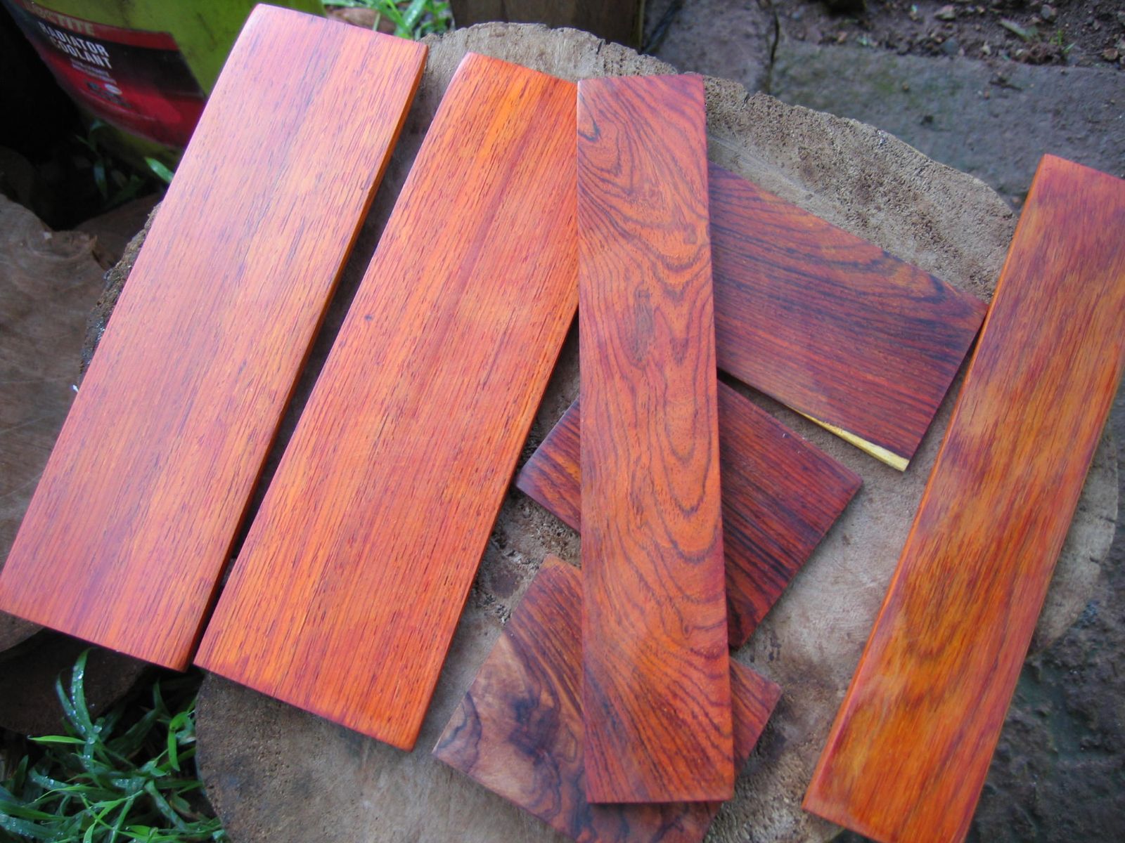 红酸枝 Cocobolo